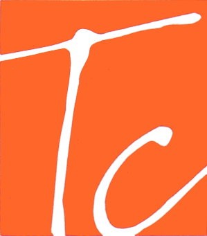 the travel consultants logo